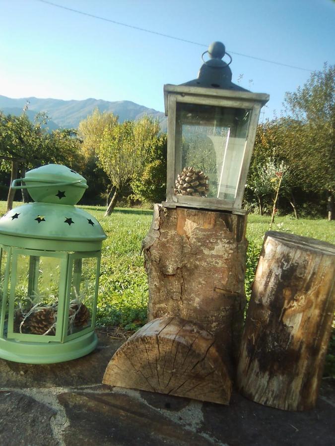 B&B A Casa Di Piero San Massimo  Dış mekan fotoğraf